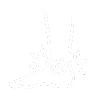 Foot And Ankle Surgery